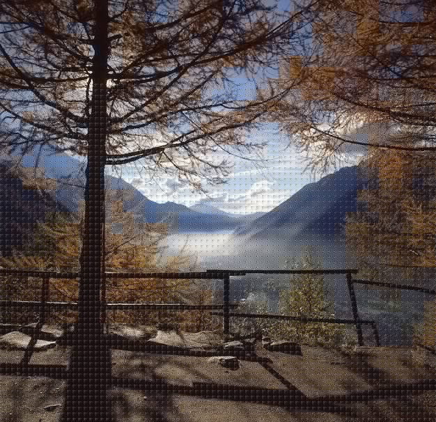 WPS下载后为何无法设置样式?破解技巧+全面指南解析 WPS下载后为何无法设置样式?破解技巧+全面指南解析 二